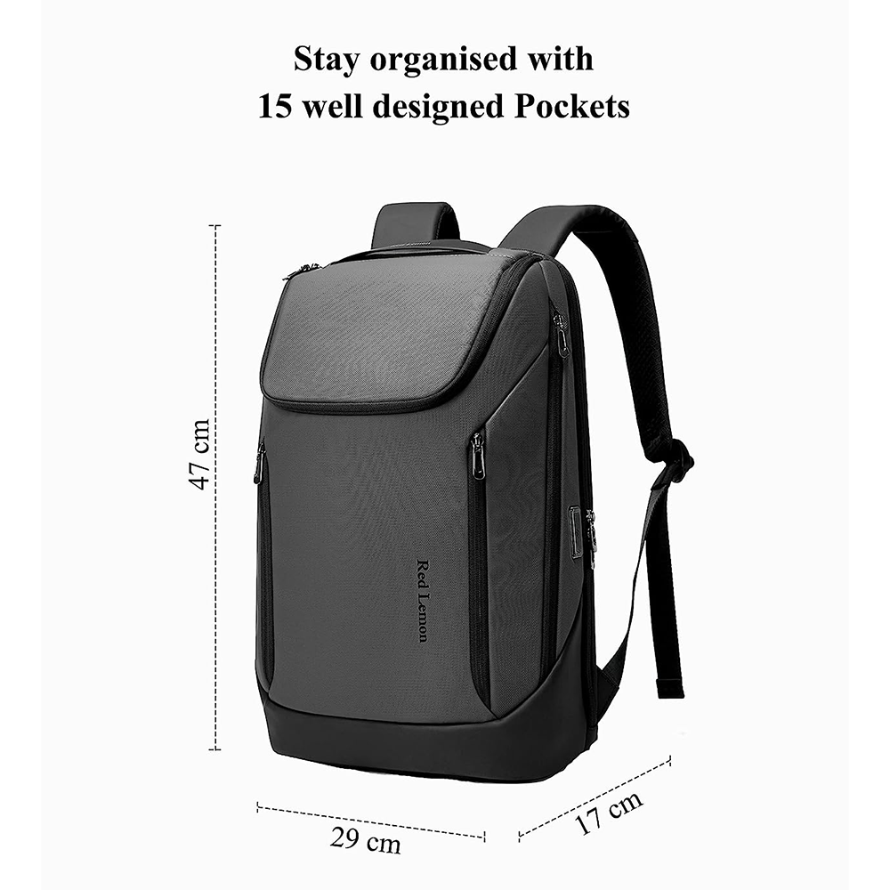 Red Lemon Captain Business Smart Backpack Waterproof fit 15.6 Inch Laptop Backpack with USB Charging Port,Travel Durable Laptop Backpack for Men and Women